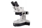 Procurement Opportunity for Binocular Microscopes